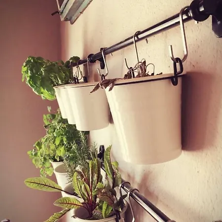 Boutique Mali Pariz Bed & Breakfast 4*