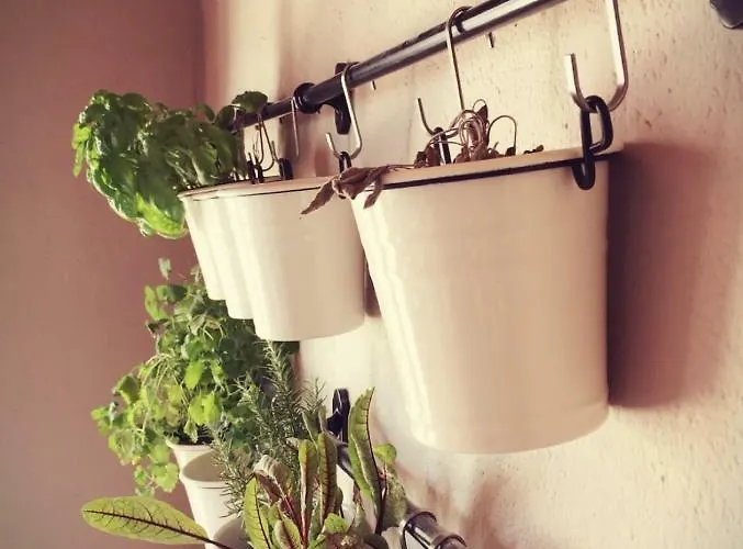 Boutique Mali Pariz Bed & Breakfast 4*